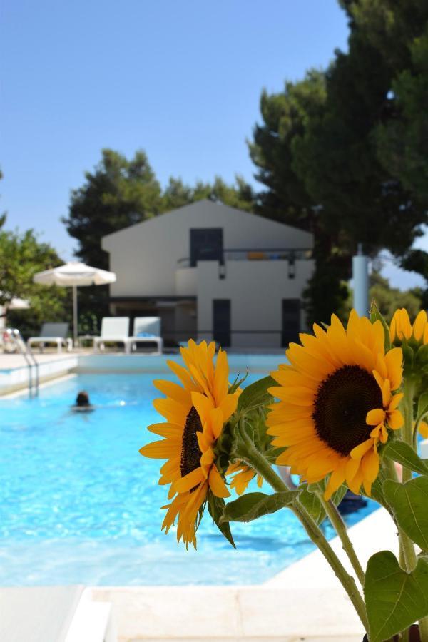 Villa Pefki Chania  Екстер'єр фото